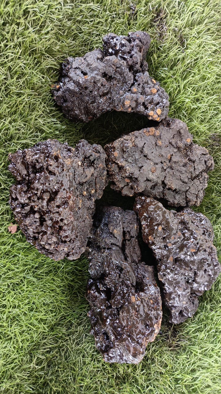 Shilajit