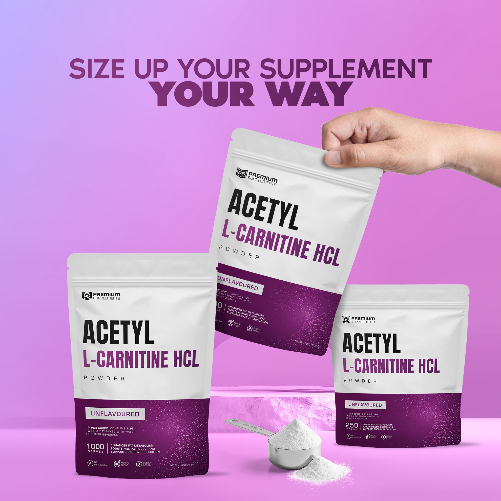 Acetyl-L-Carnitine HCL Premiumsupps Acetyl-L-Carnitine HCL Premiumsupps