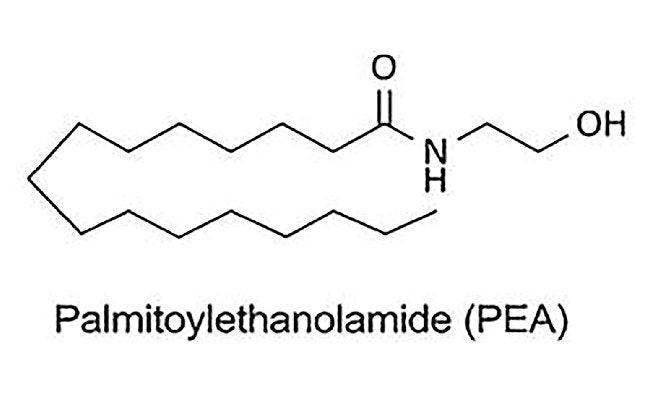 Palmitoylethanolamide (PEA) 500mg x 60 servings - Premiumsupps